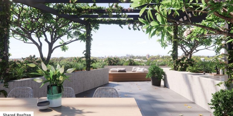 shared rooftop